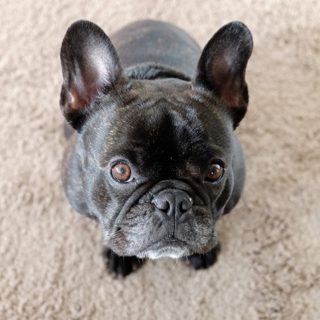 Bobby