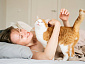 Decoding Why Cats Wake You Up in the Morning